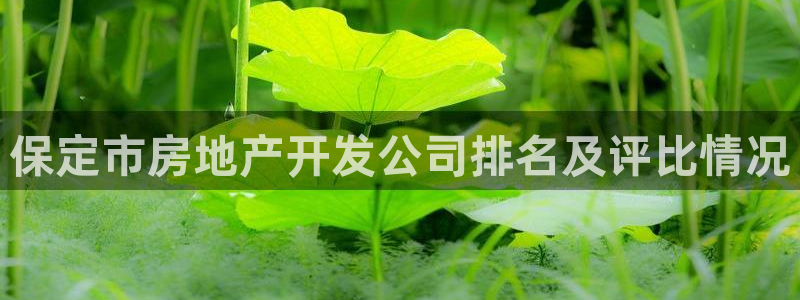 永利帶業(yè)招聘
