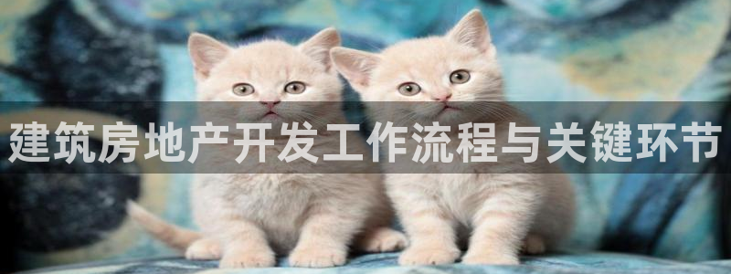 永利匯客房價格