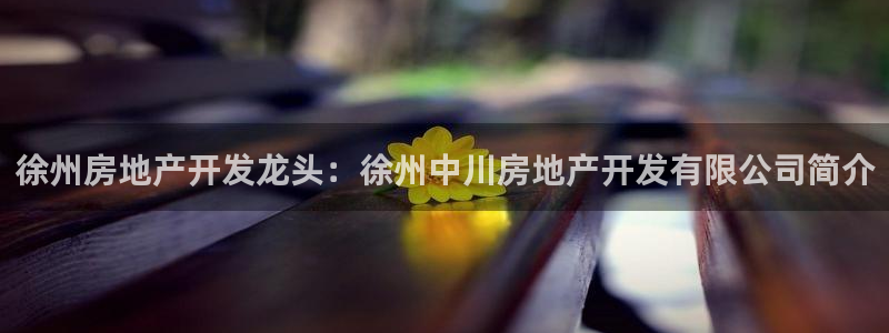 永利技術(shù)