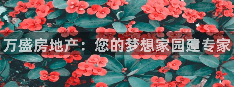 永利提不讓提現(xiàn)怎么辦