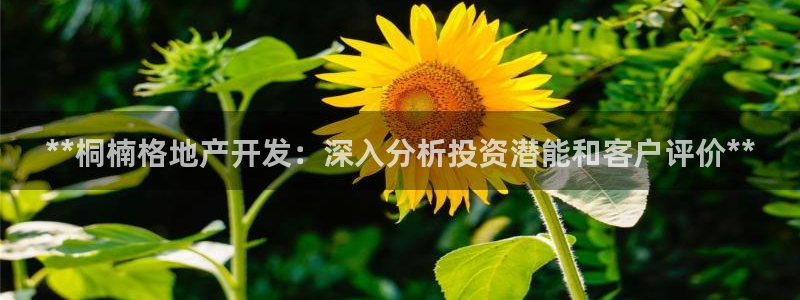 永利睹錢