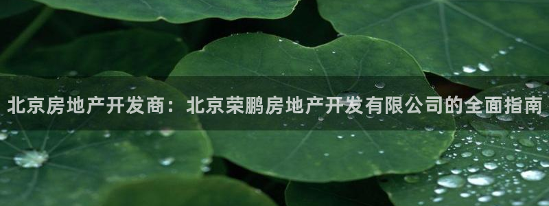永利皮具廠東莞