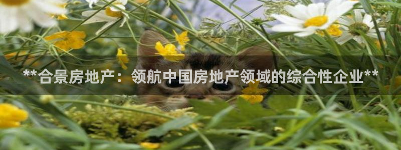 吉林市永利鹿業(yè)有限公司