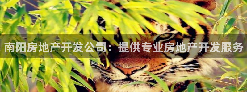 浙江永利集團(tuán)