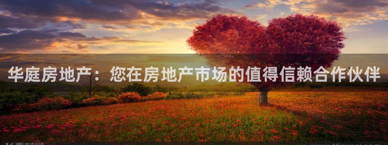 永利現(xiàn)場
