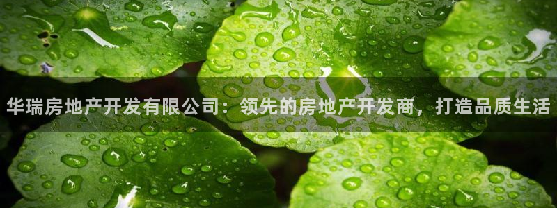 永利皮帶型號說明書