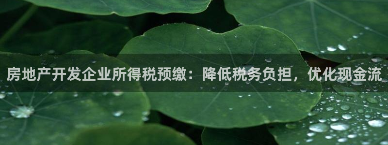 永利運(yùn)動(dòng)鞋是幾幾年出的