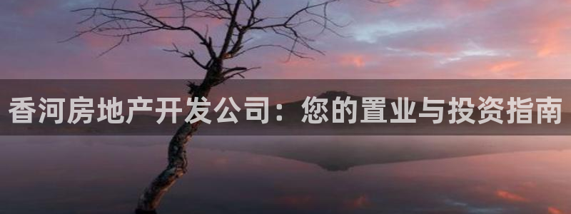 永利睹錢