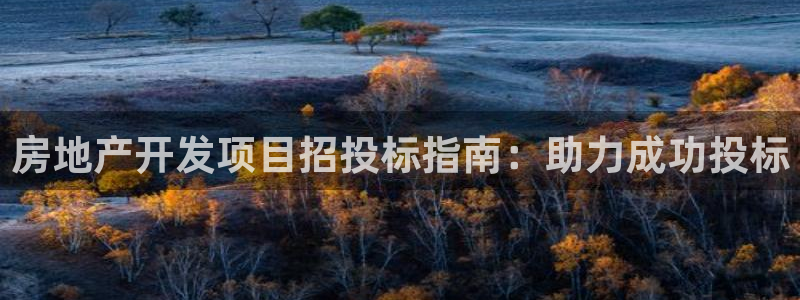永利皮帶型號