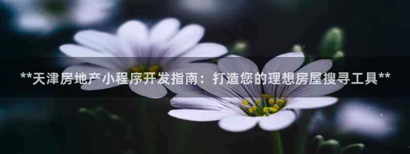 永利工業(yè)制帶