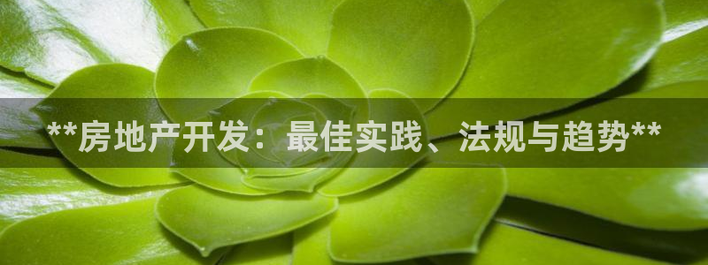 永利鏈條