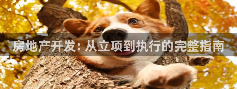 永利酒店管理有限公司