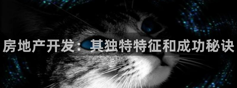 永利酒店有幾家