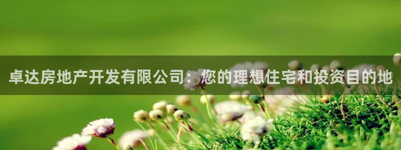永利制帶公司管理人員名單