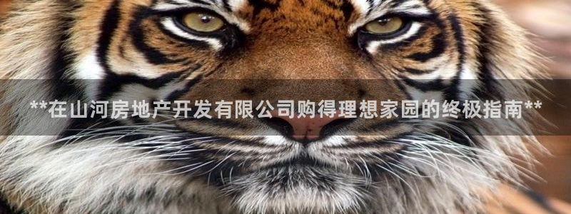 永利地產(chǎn)