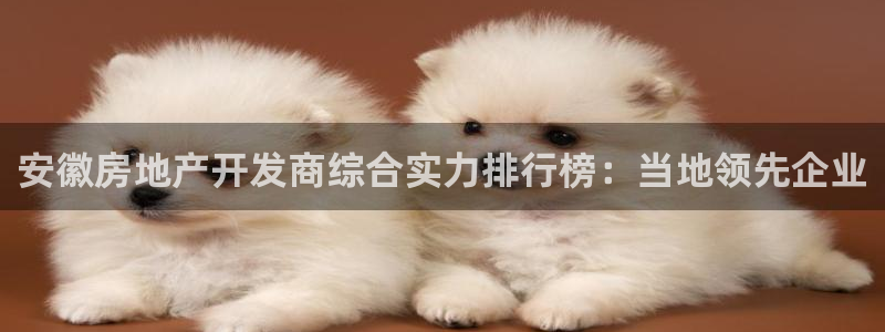 永利網(wǎng)絡(luò)科技有限公司