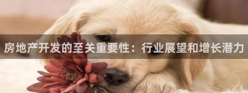 永利皮革有限公司地址