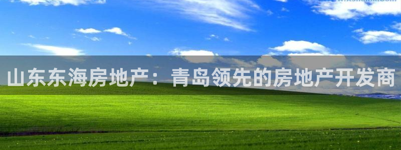 永利 官網(wǎng)