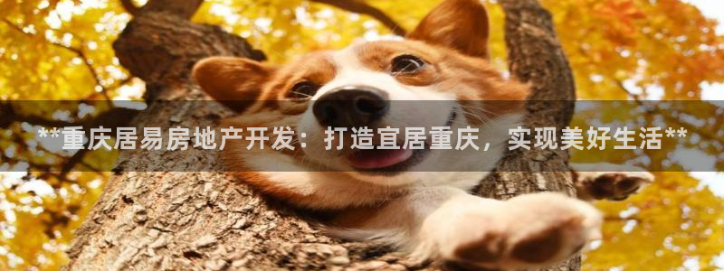 永利皮帶官網(wǎng)旗艦店