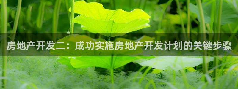 永利帶業(yè)怎么樣