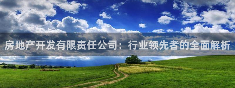 永利制帶