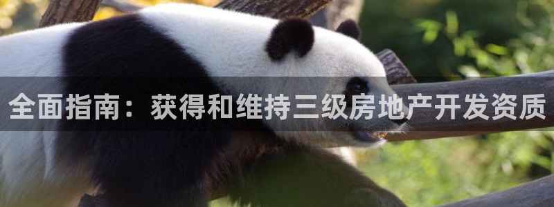 永利游樂城網(wǎng)址是多少