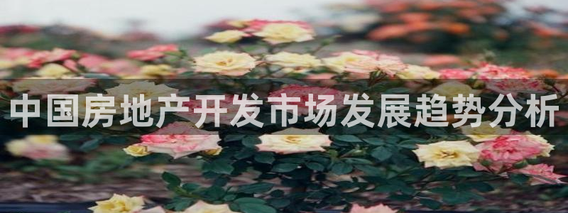 永利集團(tuán)304am登錄