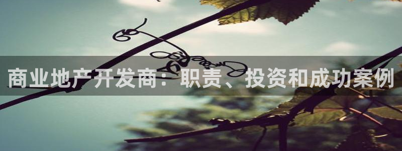 網(wǎng)絡(luò)永利ly79,cn