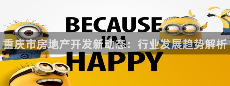 永利皮帶報(bào)價(jià)