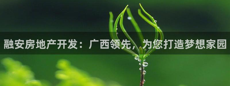 永利集團(tuán)簡(jiǎn)介