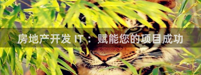 永利匯茶具有限公司