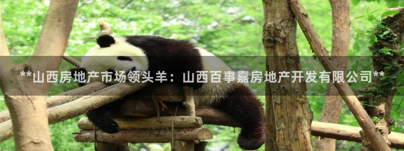 永利橡膠有限公司