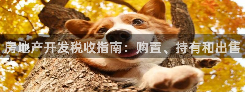 佛山永利工業(yè)皮帶廠怎么樣