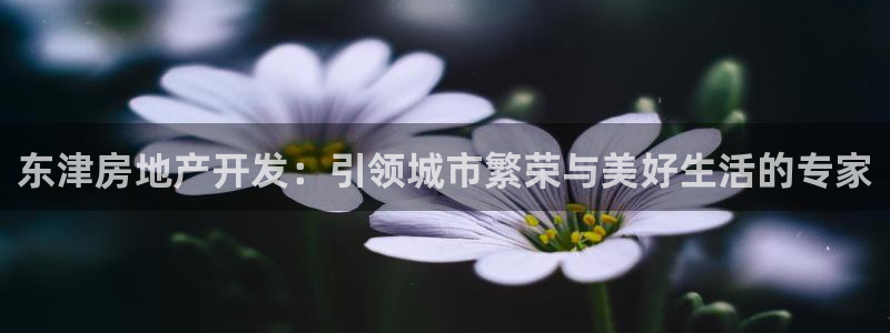 永利是啥意思