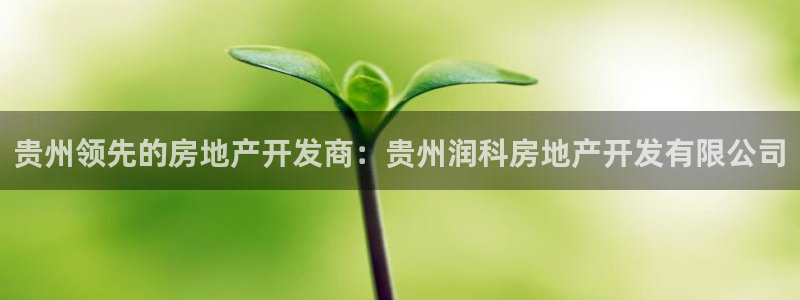 永利pc網(wǎng)址