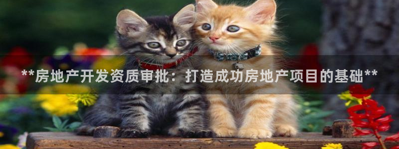 濱州市永利汽車銷售服務(wù)有限公司