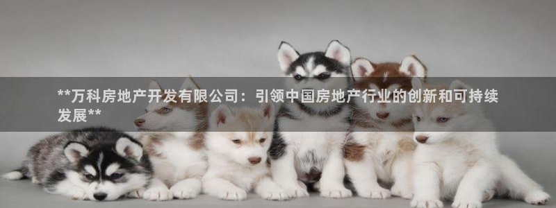 永利家具廠怎么樣