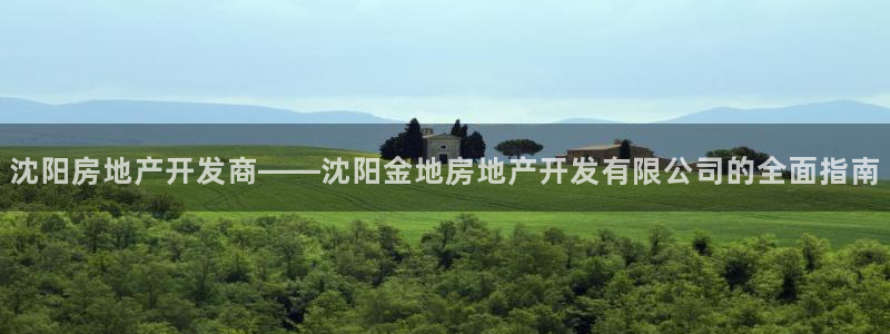永利工業(yè)制帶
