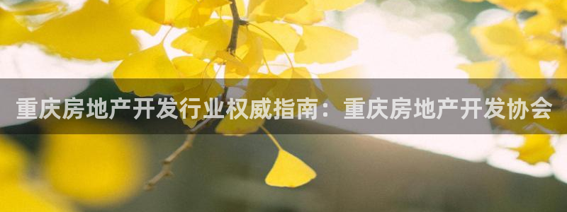 永利服裝有限公司