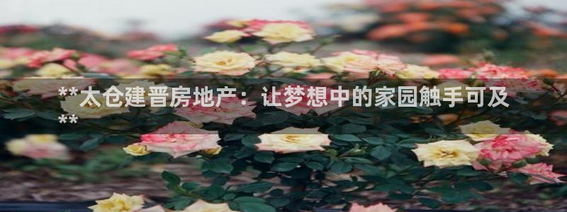 佛山永利工業(yè)皮帶廠怎么樣