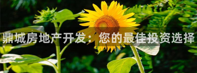 佛山永利實業(yè)有限公司