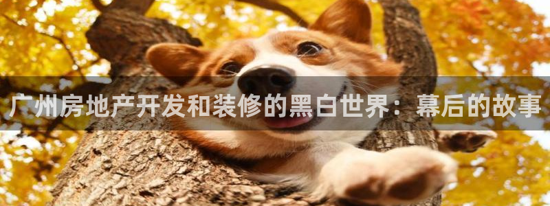 永利膠帶廠