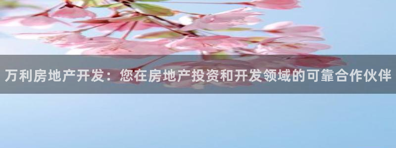 永利批發(fā)市場在哪里