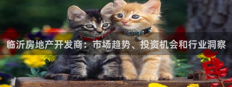 浙江永利集團