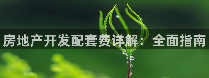 永利皇府黃立青身價(jià)