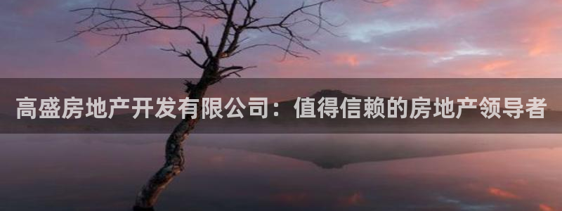 3044am永利集團(tuán)公司背景