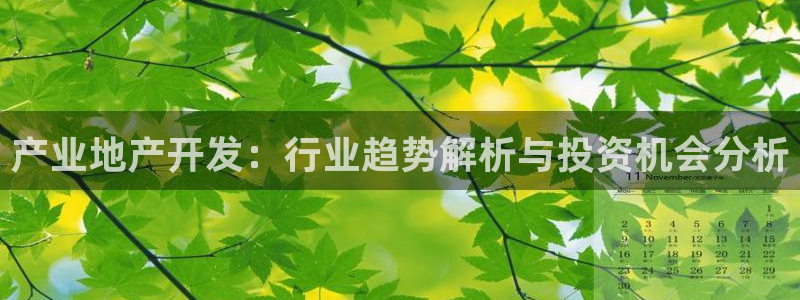 永利公司是做什么的
