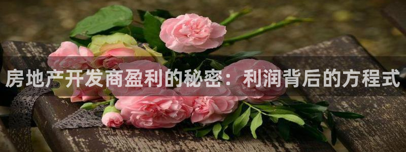 永利皮帶