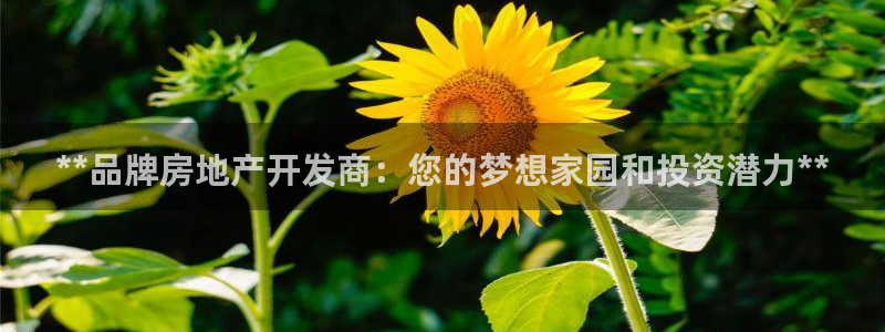 永利餐廳怎么樣