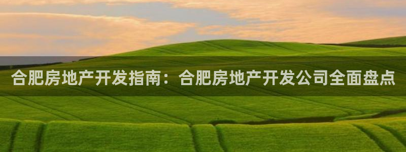 佛山永利工業(yè)皮帶有限公司